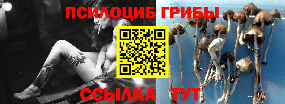 Галлюциногенные грибы Cubensis  Вход с VPN  Нягань 